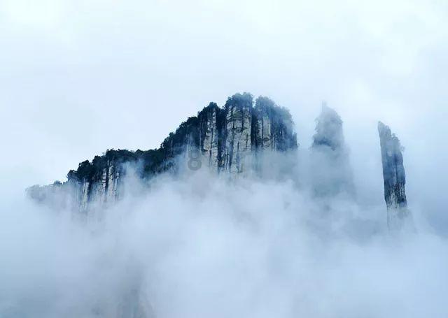 请问这是什么花游戏画面