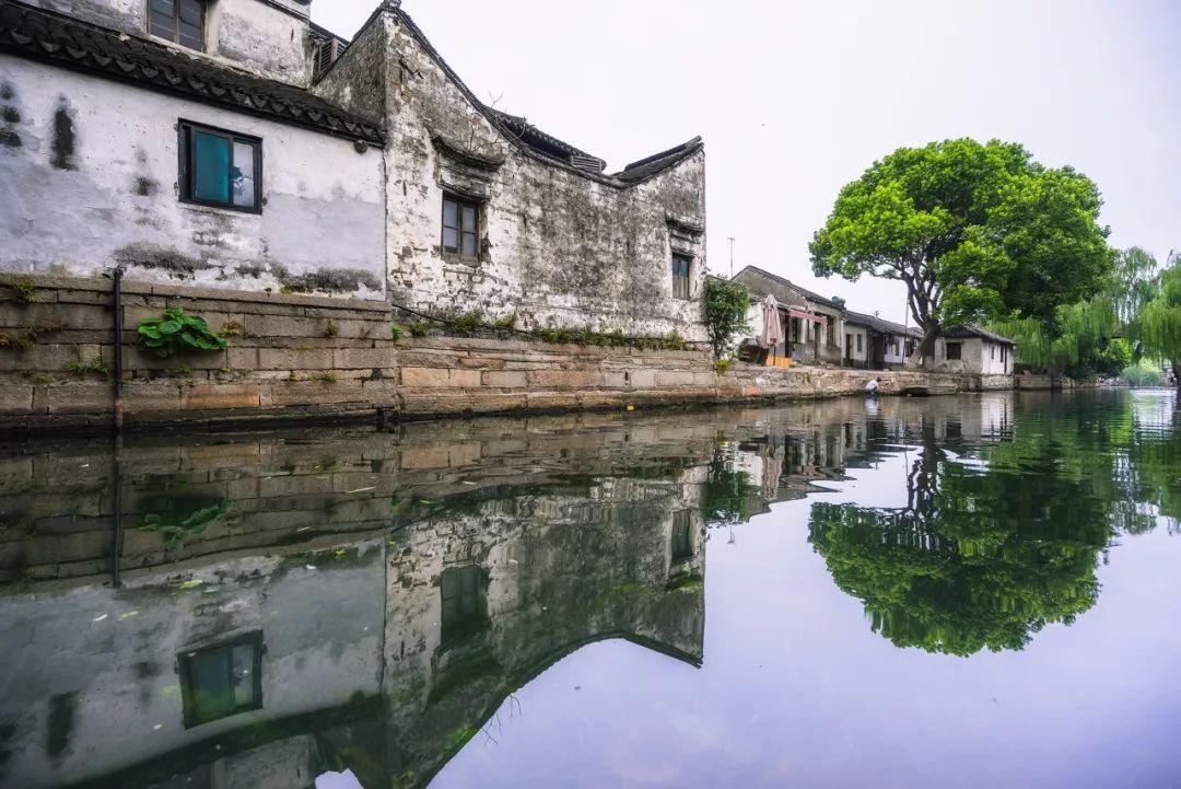 探索玛曲：开启自然与文化的融合之旅